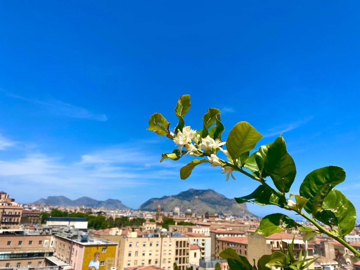 Lealbe Di Sicilia Bed & Breakfast ปาแลร์โม ภายนอก รูปภาพ
